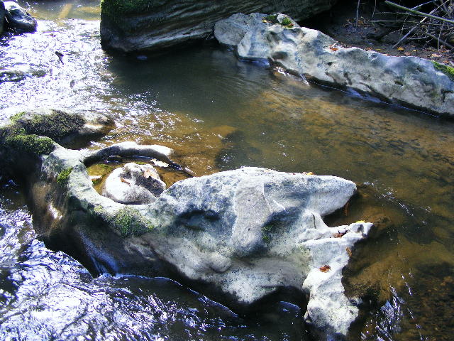 DSCF5204