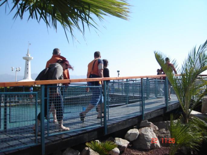 506 Israel - Eilat - The Observatory Marine Park - 2008 ISRAEL NOIEMBRIE