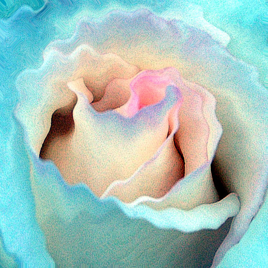 Abstract_rose