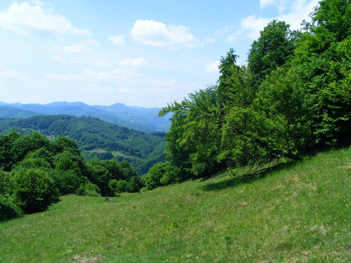 DSCF1094