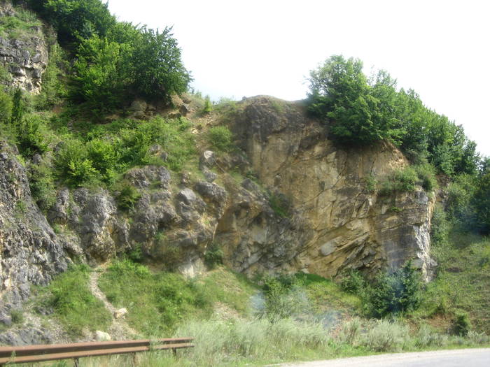 IMG_2351 - prin tara Lapusului- Cheile Babei