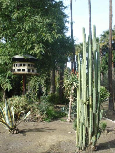 Picture 372 - 2009 REVELION CIPRU