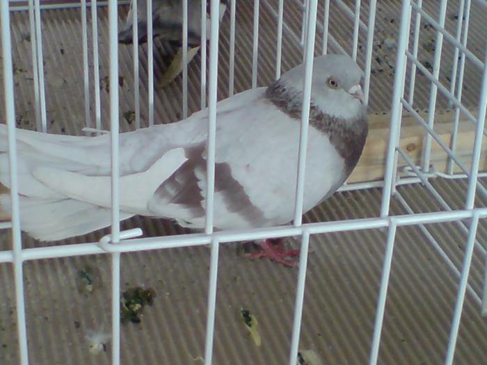 DSC00940
