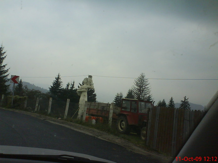 DSC02232 - transfagarasean si flora din Drauseni  BV