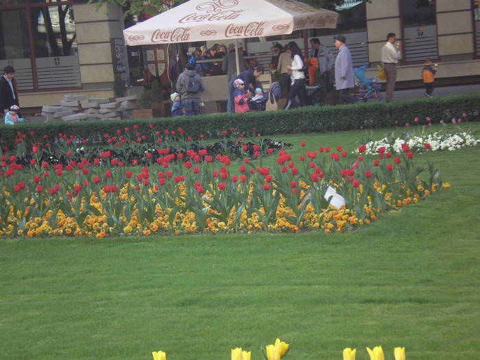 P4130269 - timisoara - centru