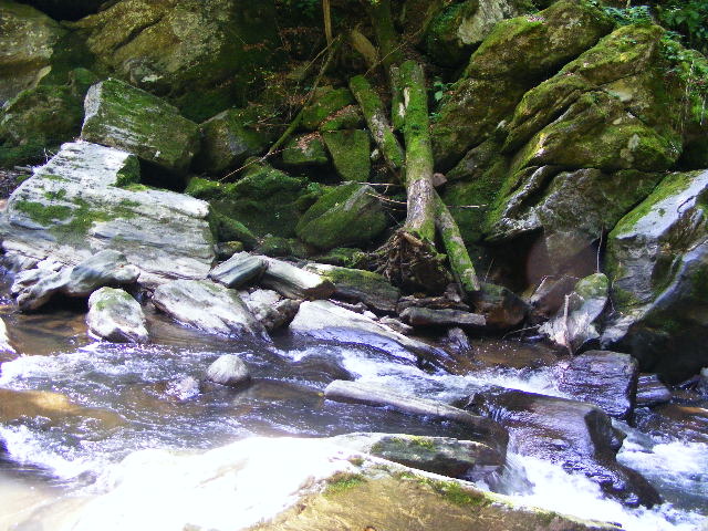 DSCF5269