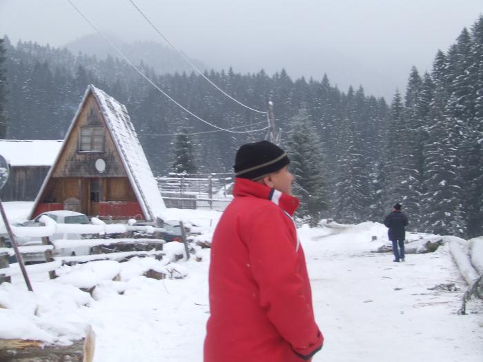 DSCF4571 - poiana zinelor