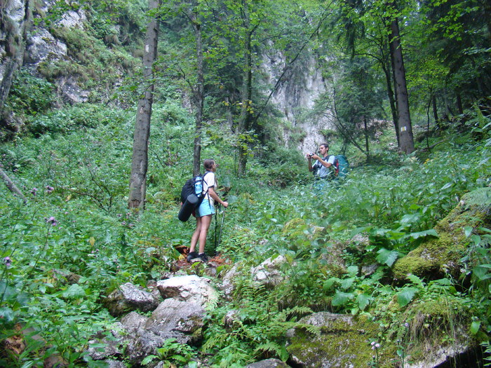 DSC04051 - Piatra Craiului August 2009 Valea Crapaturii