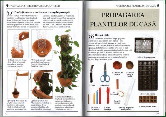 21 - informatii plante