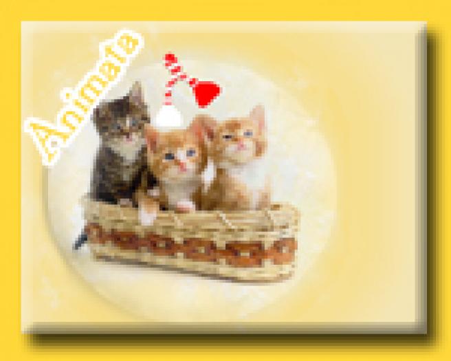 cadoulde1martie_t - avatare