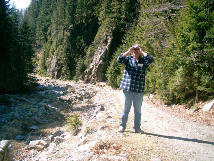 04130142 - Iezer-Papusa