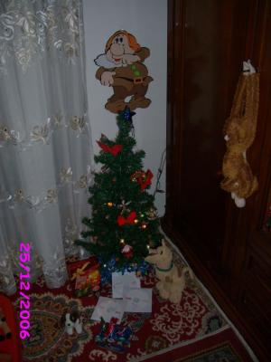 IMG_0855 - 25 26 27 decembrie 2006