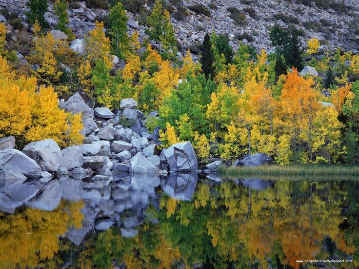 Autumn Color, Eastern Sierra, California - Very Beautiful Nature Scenes