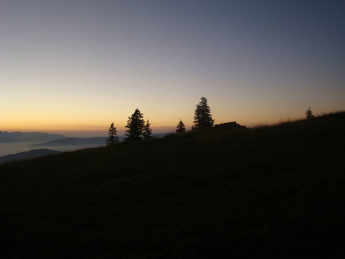 DSC00424