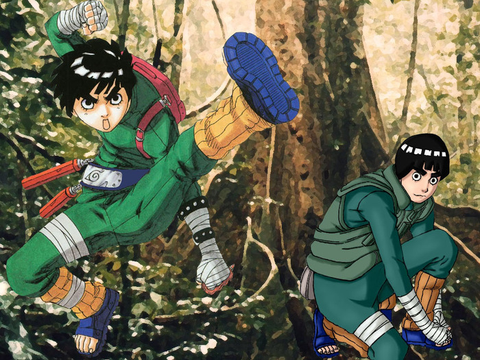 rock-lee-fighting - multe
