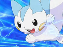 Pachirisu - Pokemonii mei preferati