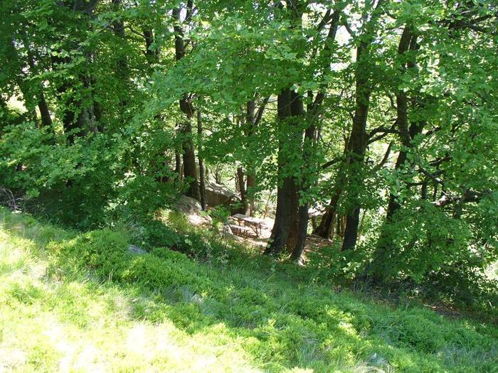 P1000535 - varful Ignis Maramures