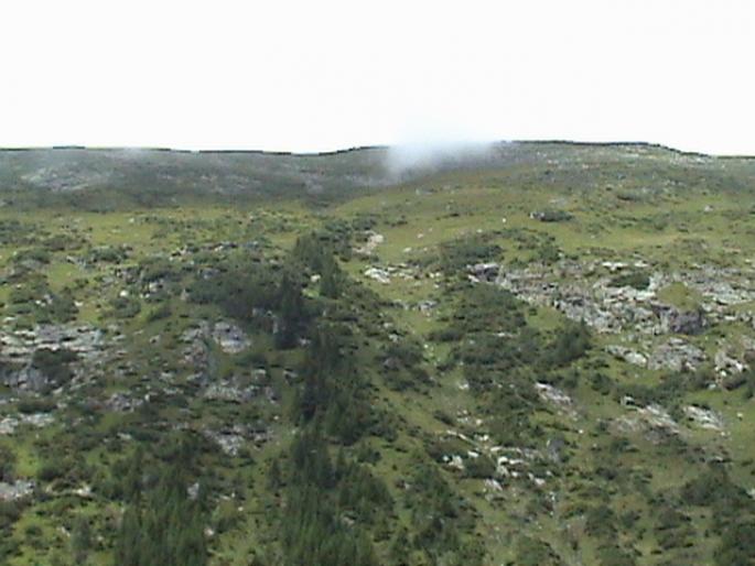 DSC00757 - Excursie in muntii Fagaras 2008