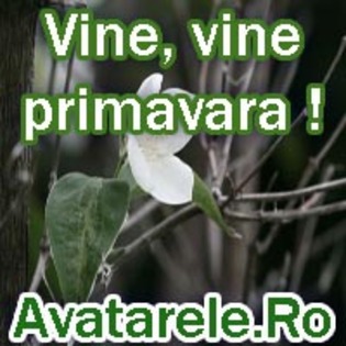 57 - poze avatar primavara