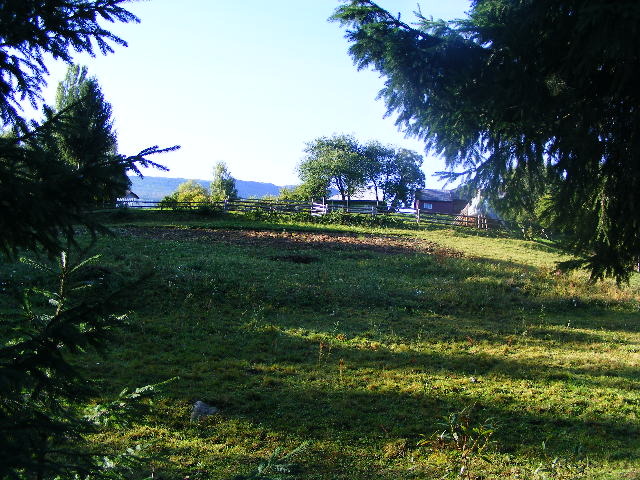 DSCF6406 - muntii Rodnei