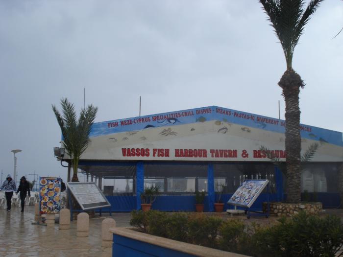 Picture 498; Ayia Napa
