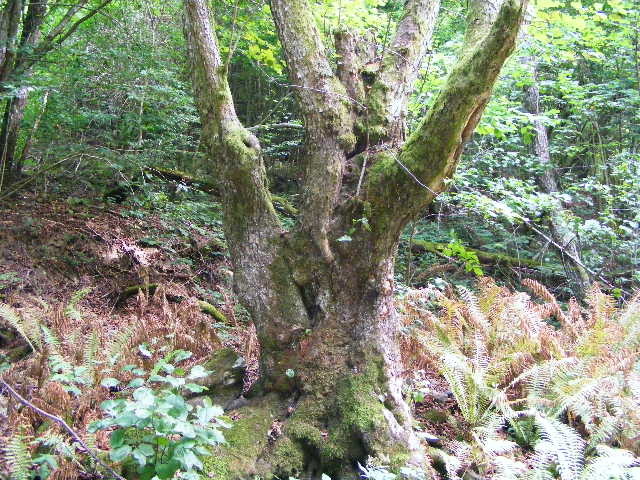 DSCF5056