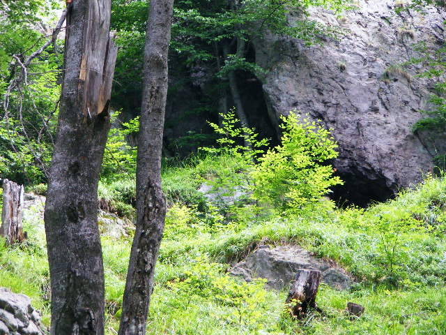 DSCF2984