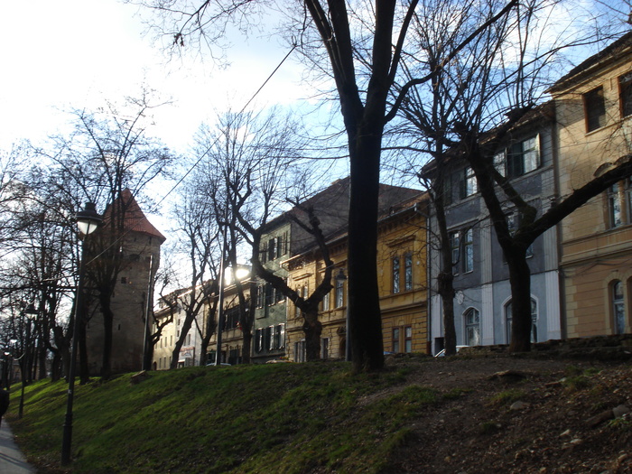 DSC06123 - 2010 REVELION SIBIU