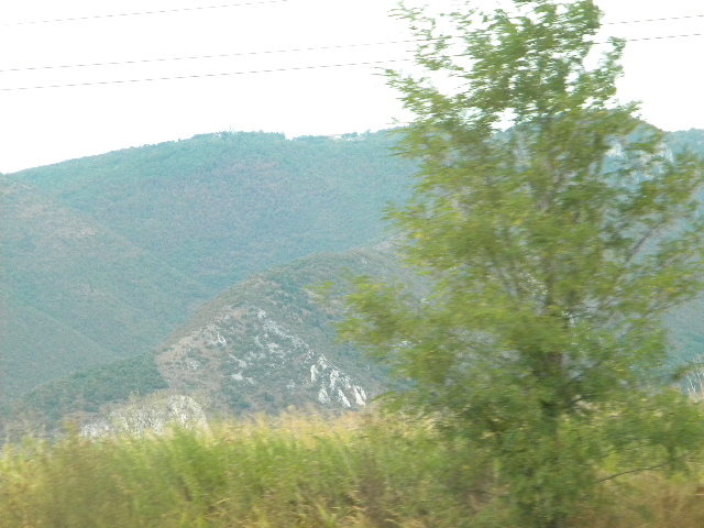 DSCN0505