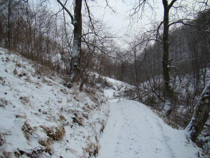 DSC02246 - 2008-02-11 - La Pucioasa-Targoviste-Fieni