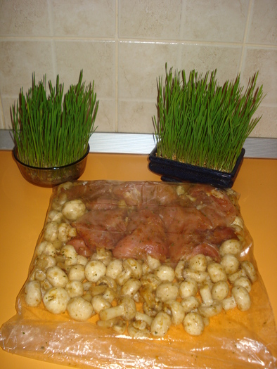 FRIPTURA DE PORC CU CIUPERCI,LA PUNGA MAGICA