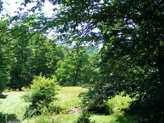 DSCF2596