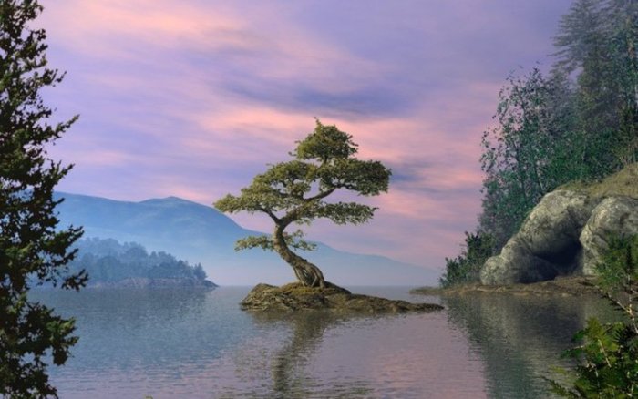 Scenic_Tree0