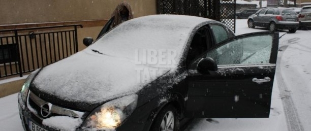 thumb_612_x_0_0-213879-img_1852 - Elena Gheorghe