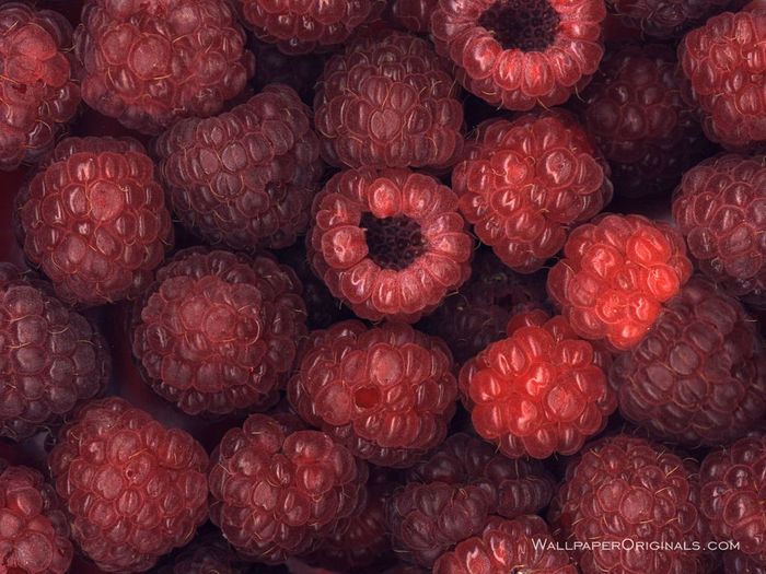mure - fructe