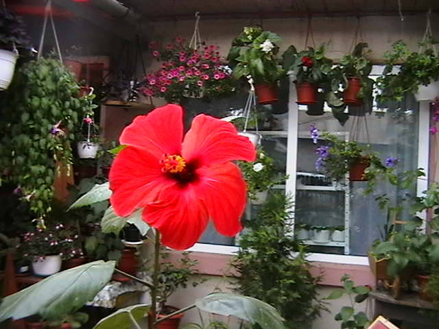 Picture 017