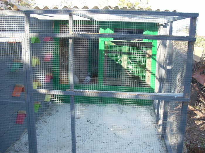 Imagen 038