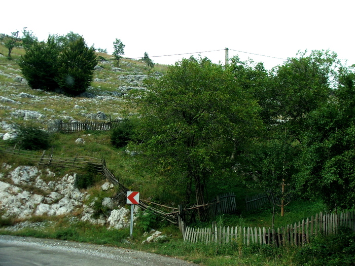 DSCF4858 - Valea Cernei