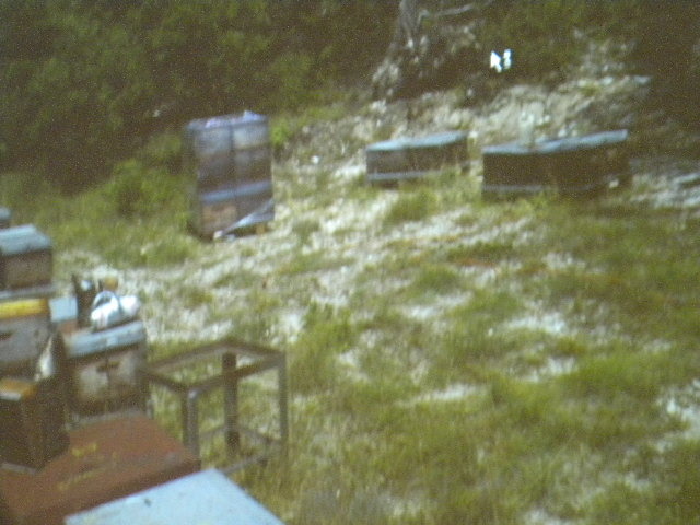 DSCN1965