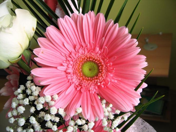 IMG_082 - flowers