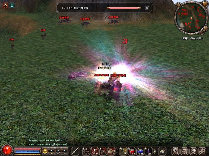 1211_135921 - metin 35 pserver poze noi