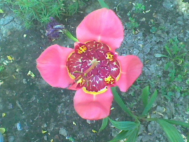 Imag041