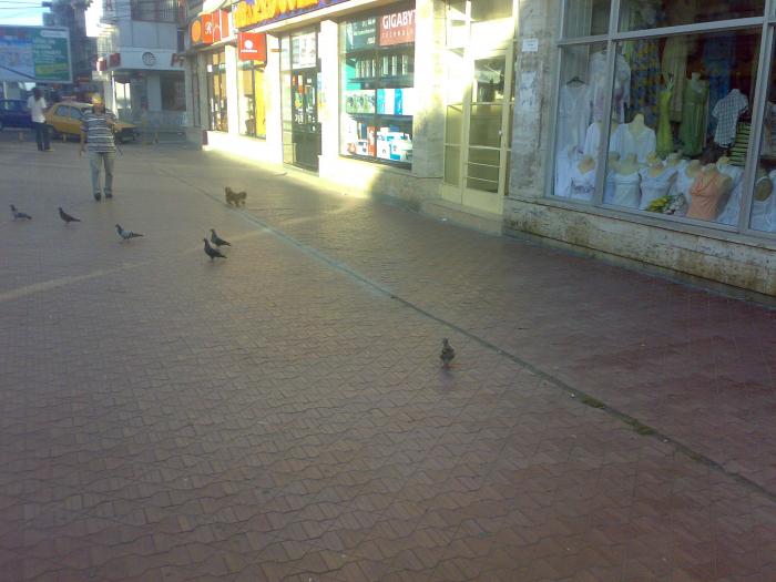 15082008862 - 18a Constanta 1