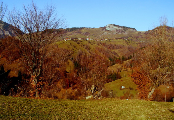 DSCF5907 - Piatra Craiului Bucegi satul Pestera