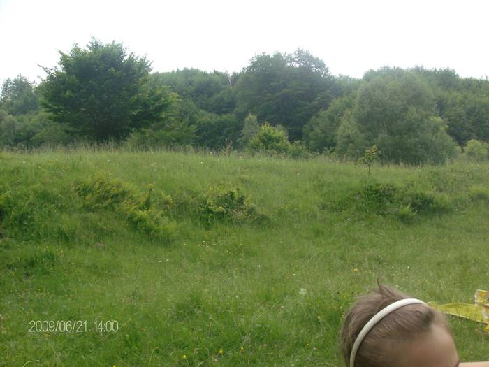 Picture 018 - La iarba verde iunie 2009