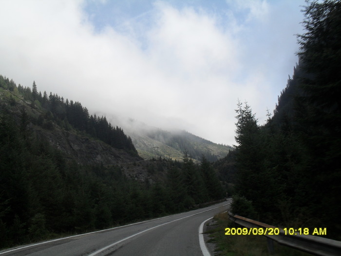 SDC10466 - transfagarasan