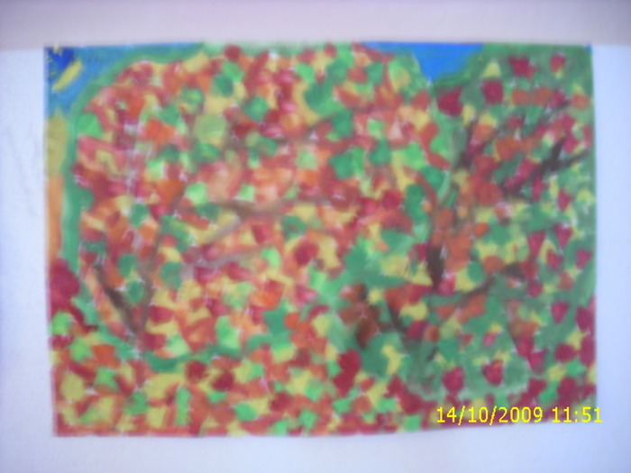 Clasa a 2-a A; Colegiul Economic "Emanuil Gojdu" Hunedoara
