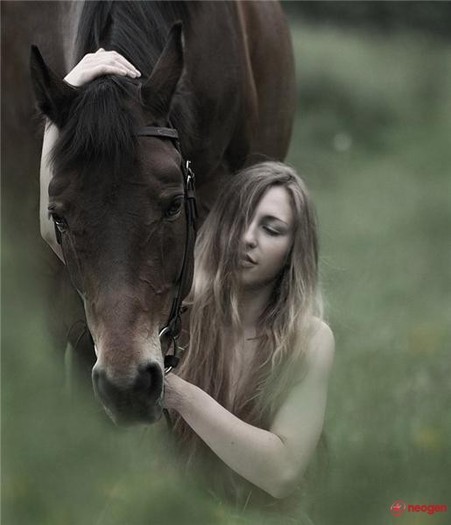 3737025c_0020000821735_00_600 - Mustangi