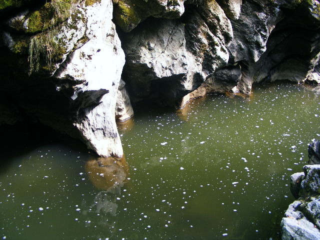 DSCF5183