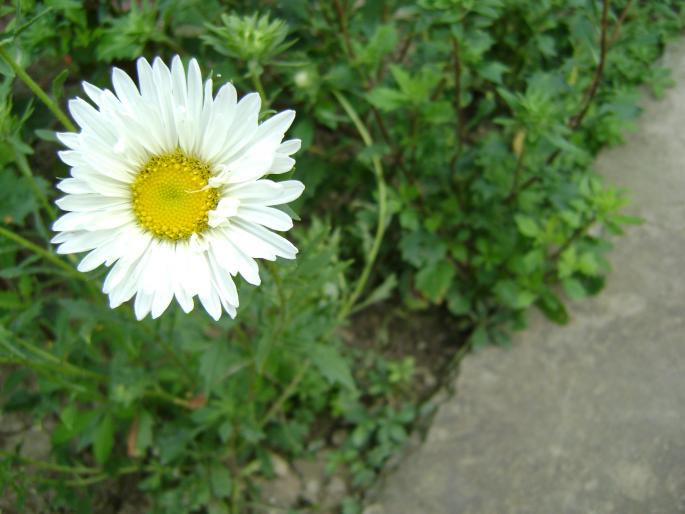 DSC08791
